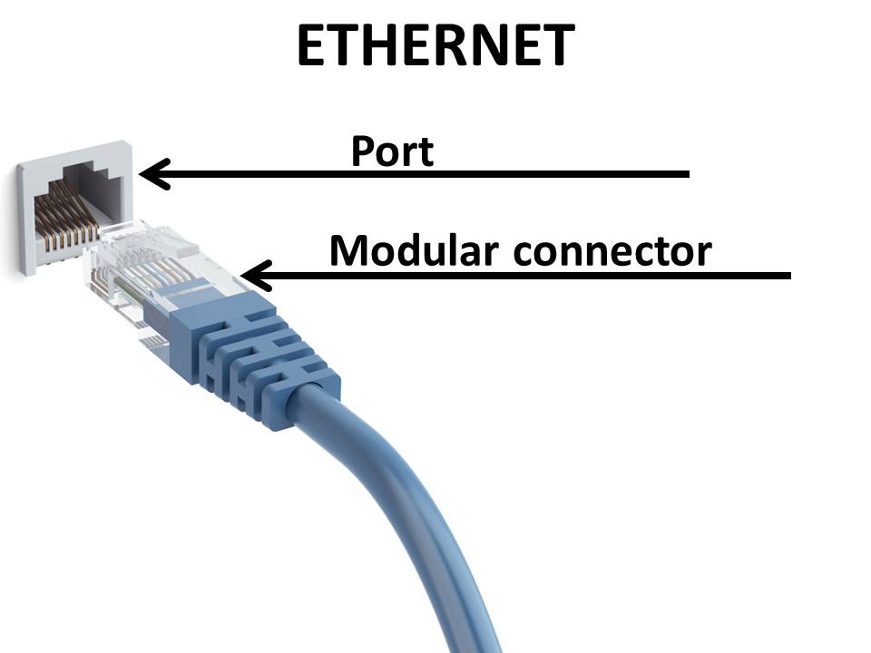 Wifi Password - Example - Ethernet Cable and Ethernet Port - Windows Wally